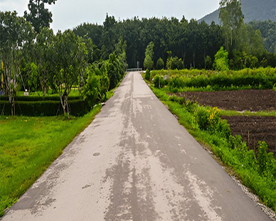 Road Infrastructure